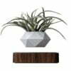 Authentic Levitating Floating Plant Image 1 Authentic Levitating Floating Plant Image 1