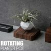 Authentic Levitating Floating Plant Image 2 Authentic Levitating Floating Plant
