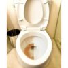 Automatic Toilet Bowl Cleaner Image 5 Automatic Toilet Bowl Cleaner