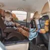 Car Seat Back Organizer