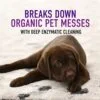 Carpet Cleaning Shampoo