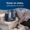 Carpet Spots and Stains Cleaner Image 5