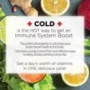 Cold Press Juicer