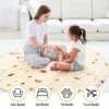Double Sided Burrito Blanket Image 4