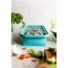 Freezing Tray with Lid Image 4