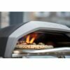 Gas Pizza Oven Image 6