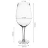Giant Wine Glass Image 3