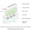 Indoor Gardening Kit with Grow Light Image 5