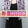 Instagram Follower Counter Image 6