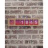 Instagram Follower Counter Image 7