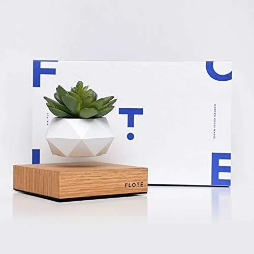 Levitating Air Plant Pot Image 1