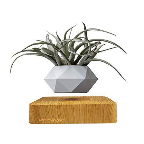 Magnetic Rotating Air Bonsai Planter Image 1