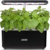 Mini Indoor Herb Garden Image 1