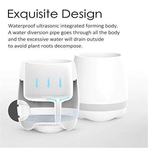 Musical Flowerpot Speaker Image 5 Musical Flowerpot Speaker Image 5