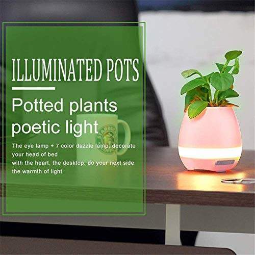 Musical Flowerpot Speaker Image 6 Musical Flowerpot Speaker Image 6