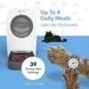 Pet Feeder Image 4