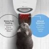 Pet Feeder Image 5