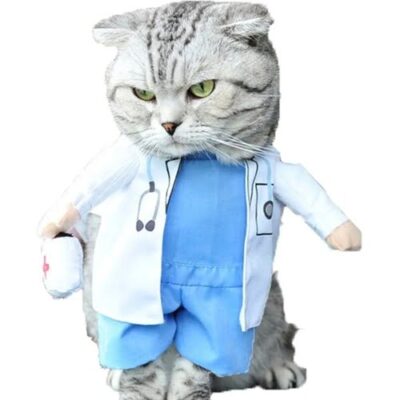 A proud doctor costume for your cats