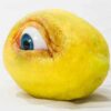 Artificial lemon with seeing eyes Artificial lemon with seeing eyes