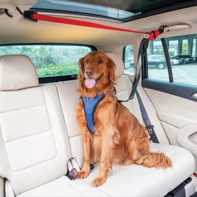 Dog Safety Zipline Dog Safety Zipline