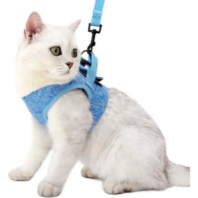 cat harness for cats not to escappe from