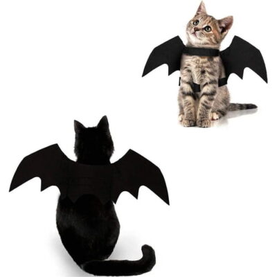 cat in bat wings halloween costume