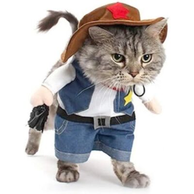 cat in cowboy costume