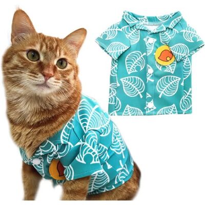 cat in summer shirt