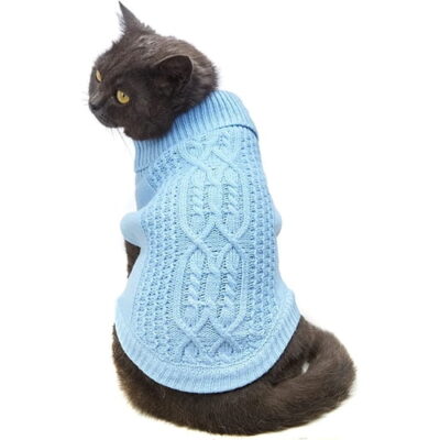 cat wearing blue knitted sweater to wear in winter