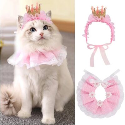 cat wearing pink princess costume with bandana and crown for wedding function
