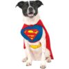 dog looks so funny in super man dog costume dog looks so funny in super man dog costume