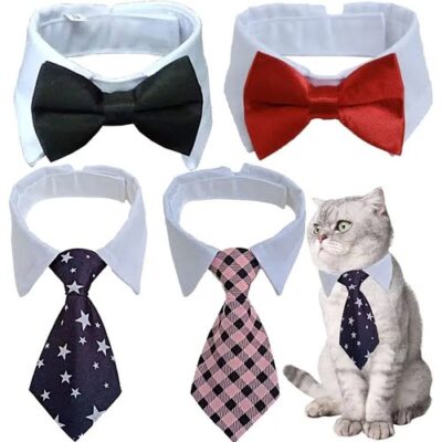 formal necktie bowtie collar for cats