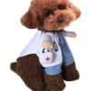 Dog looks so adorable in doctor costume
