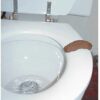 Poop stick on the toilet seat Poop stick on the toilet seat