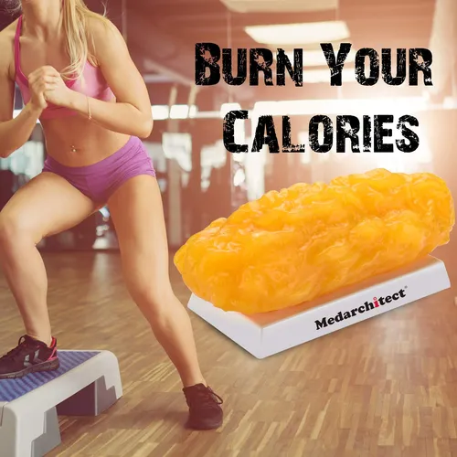 a dummy fat reminds the woman to do exercise in gym and burning her calories a dummy fat reminds the woman to do exercise in gym and burning her calories