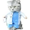 cat looks so funny in doctor costume 1