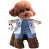 cute dog wearing funny doctor outfit