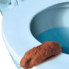 fake poop toy appear in the toilet seat fake poop toy appear in the toilet seat