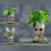 green plants are growing in the green succulent pot baby groot green plants are growing in the green succulent pot baby groot