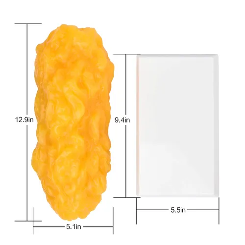 height and width of the human body fat replica height and width of the human body fat replica