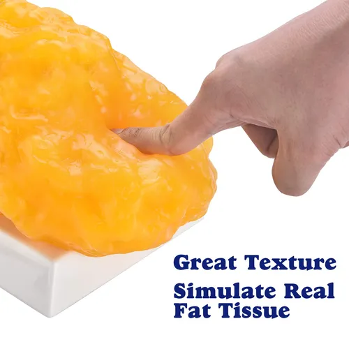 human touchs the fat replica texture human touchs the fat replica texture