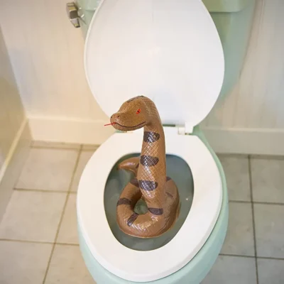 Snake toy sticked in the toilet