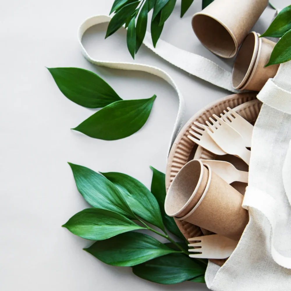 zero waste concept paper tableware